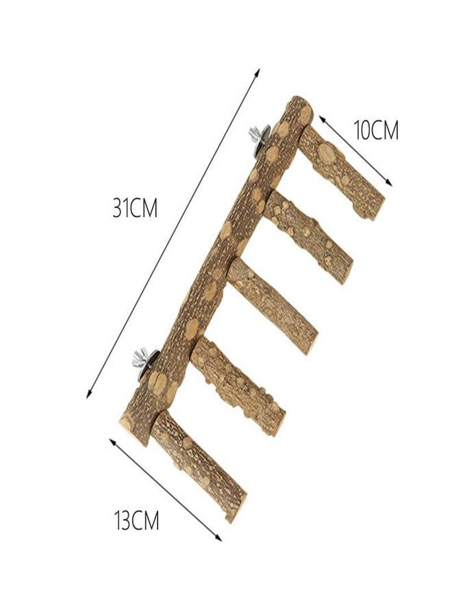 SS Organic® SS Organic® Natural Wood Parrot Perch Bird Stand Climbing Standing Branch Ladder Bird Cage Wood Stand Parrot Chew Toy for Small Animal - Image 4